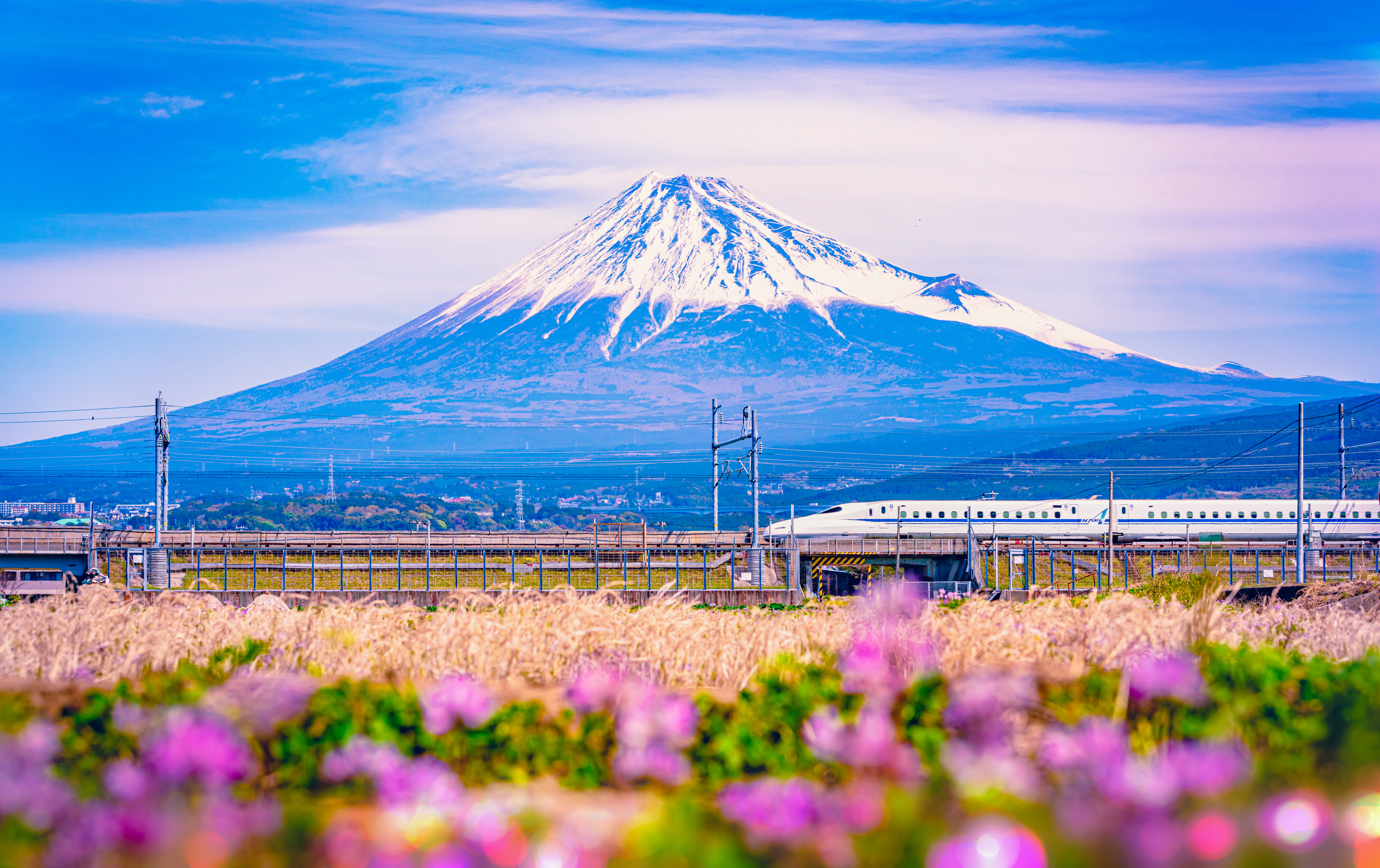 Shinkansen Mount Fuji